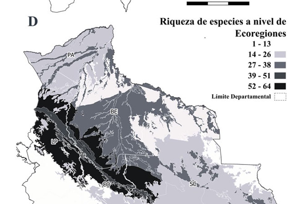 5287destaca-abejas-jun-oct-2024