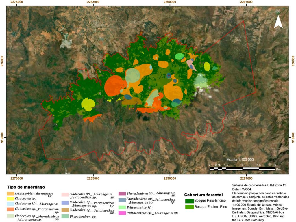 Figura 3. Mapa de la distribución espacial de tipo de muérdagos en APFF Sierra de Quila, Jalisco. Fuente: trabajo de campo.