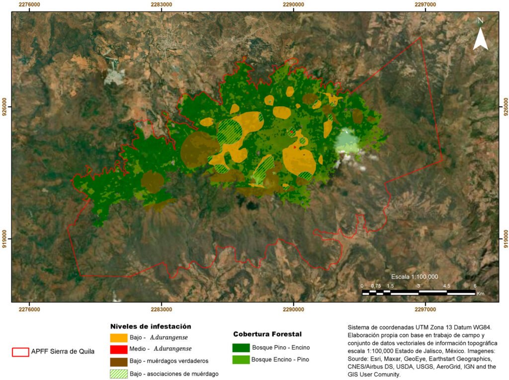 Figura 4. Mapa de los niveles de infestación por muérdagos enanos y verdaderos en el APFF Sierra de Quila, Jalisco. Fuente: trabajo de campo.