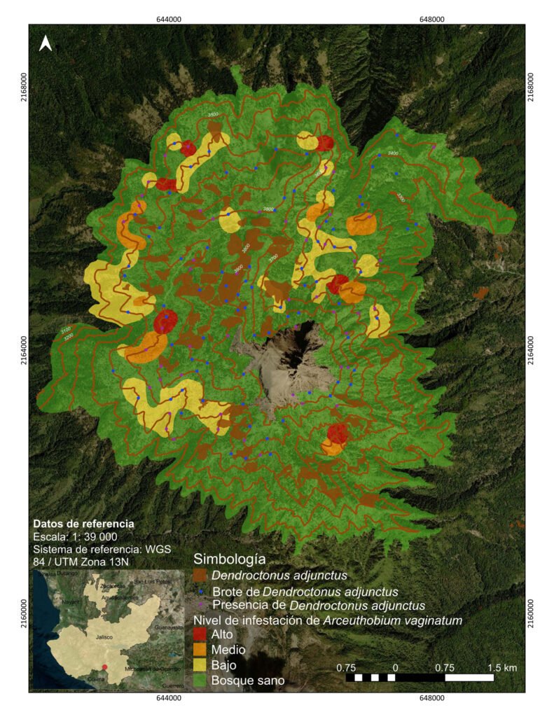 Figura 3. Distribución espacial de muérdago enano y descortezador. Fuente: Endara et al. (2023) y trabajo de campo.