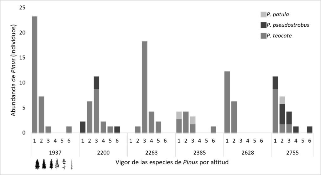 Figura 1. Vigor del arbolado por categorías en los 6 sitios de muestreo seleccionados en el bosque de Santa Catarina Lachatao, Oaxaca, donde 1 representa a un árbol en perfecto estado y 6 representa a un árbol muerto.