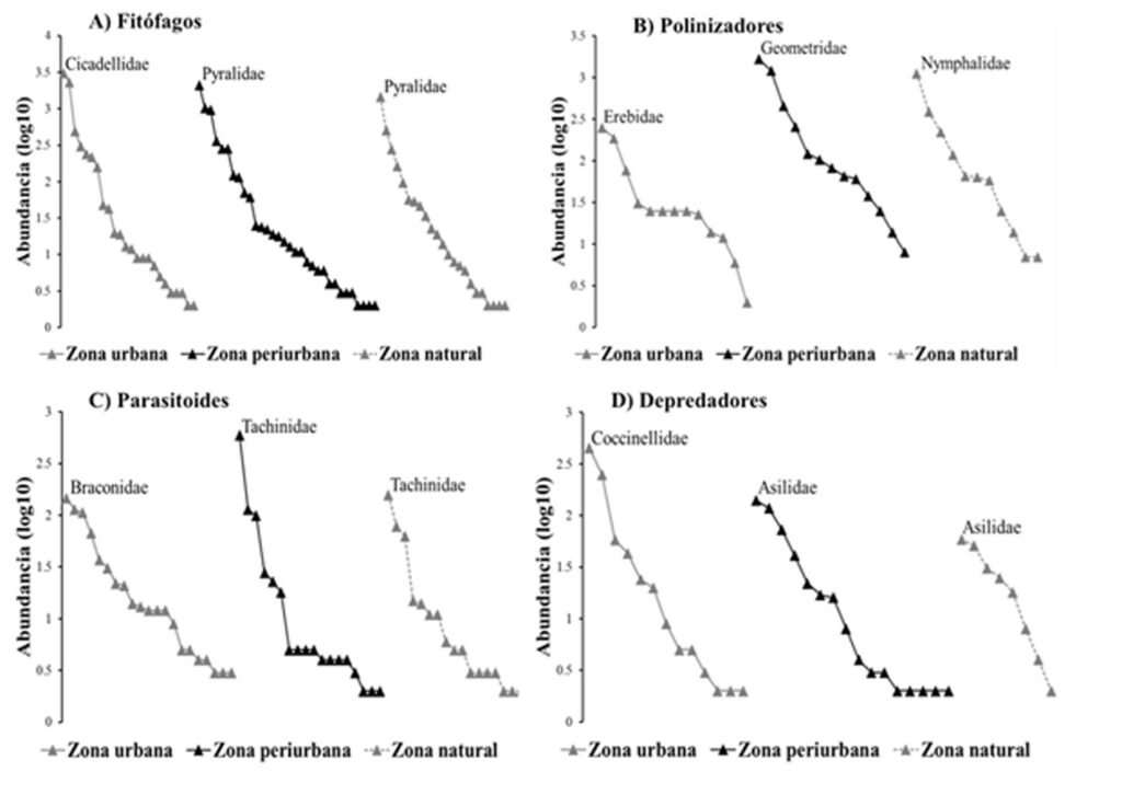 Figura 3. Curvas de rango-abundancia de Whittaker de los ensambles de insectos, recolectados en diferentes niveles de perturbación, zona urbana (nivel alto de perturbación), zona periurbana (nivel medio de perturbación) y zona natural (nivel bajo de perturbación) en Yucatán, México. Se trazó una escala logarítmica de abundancia frente al rango de familias ordenado desde la familia más abundante (la cual se indica el nombre), hasta la menos abundante por cada grupo funcional: A) fitófagos, B) polinizadores, C) parasitoides, D) depredadores.