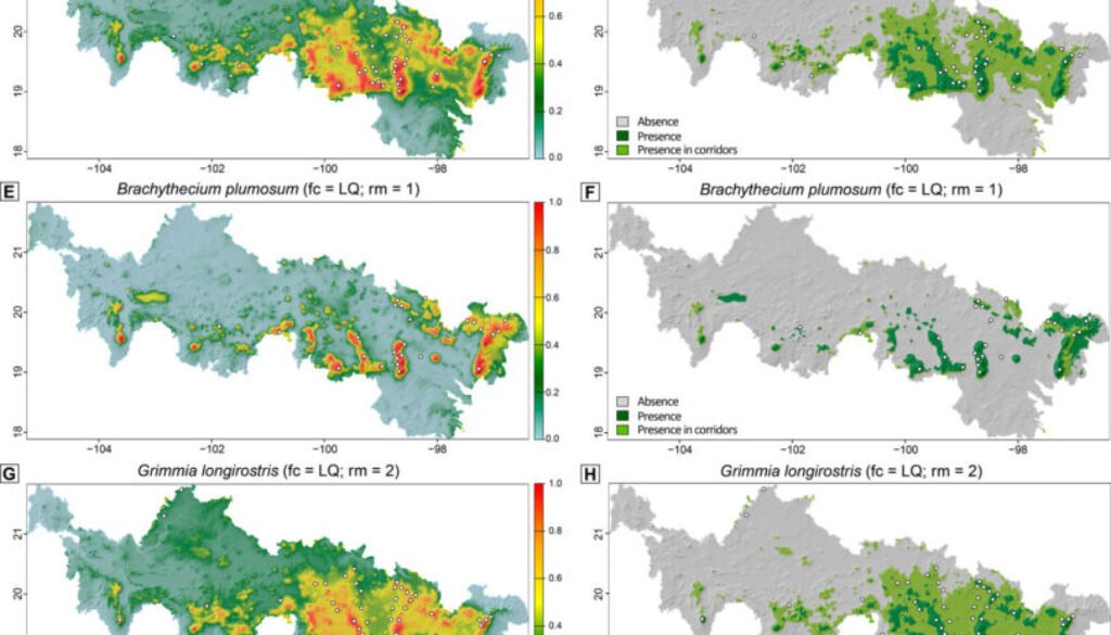 5464-Fig_2-15cmNUEVA