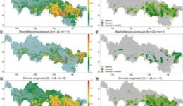 5464-Fig_2-15cmNUEVA