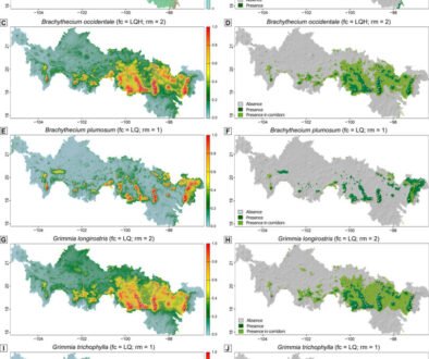 5464-Fig_2-15cmNUEVA