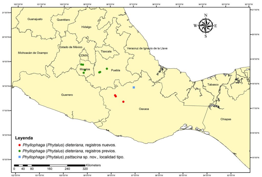 Figura 8. Mapa de distribución de las especies tratadas en el presente trabajo.