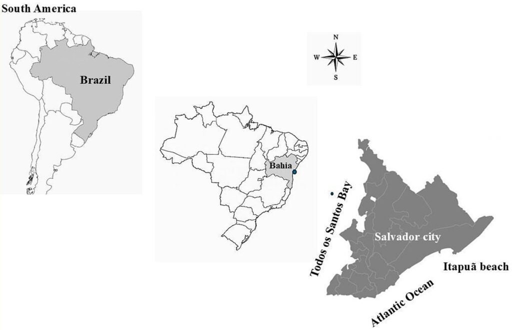Figure 1. Map showing the location of Itapuã beach in Salvador, Bahia, Brazil.