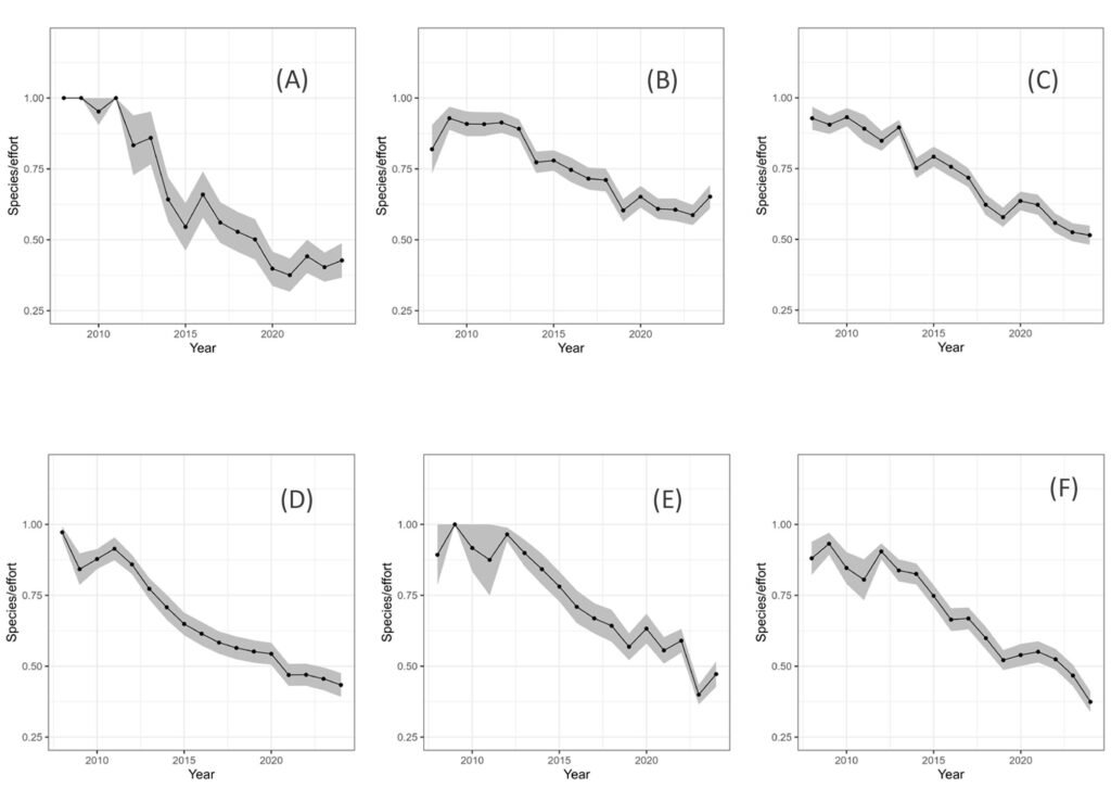 Figure 4. Average and standard error (band) of different_species/effort vs. time in years, for the bumblebees (A), damselflies (Zygoptera) (B), dragonflies (Anisoptera) (C), nymphalids (D), swallowtails (Papilionidae) (E), and sulfurs (Pieridae) (F). Except for the damselflies (which has a slope indistinguishable from zero), the slopes were all negative and, except for (B) and (E), had very low probabilities of the observed values, under a null hypothesis of zero slope (Table 2).